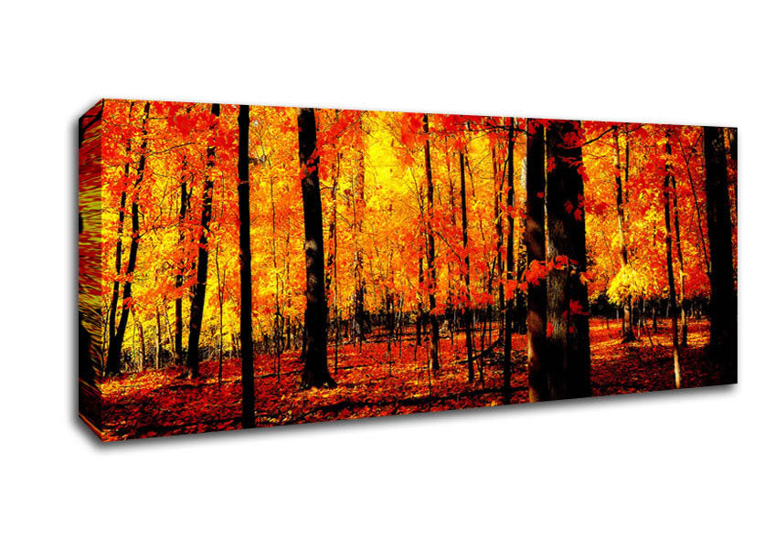 Picture of In The Depth Of The Orange Forest Panoramic Canvas Wall Art