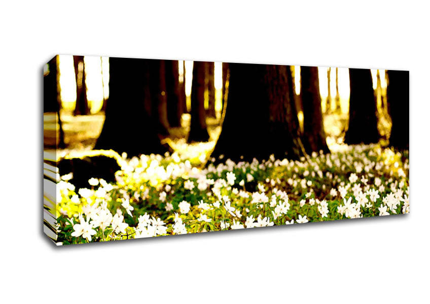 Picture of White Forest Flowers Panoramic Canvas Wall Art