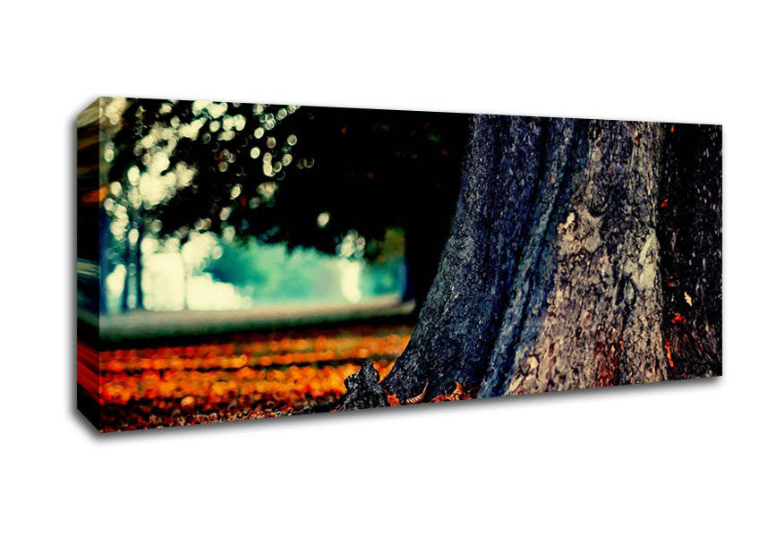 Picture of Tree Trunk In Autumn Panoramic Canvas Wall Art