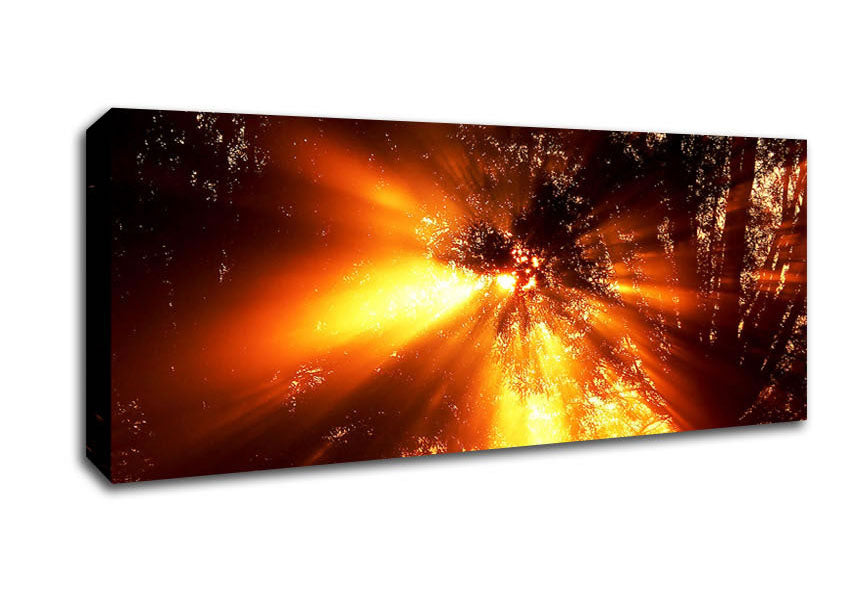 Picture of Sun Blaze Above The Winter Tree Panoramic Canvas Wall Art