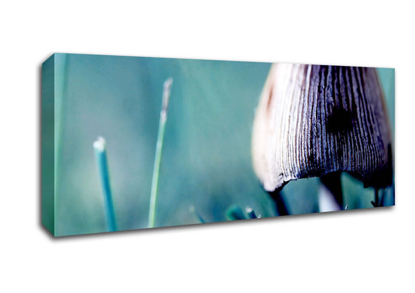Picture of Wild Mushroom Panoramic Canvas Wall Art