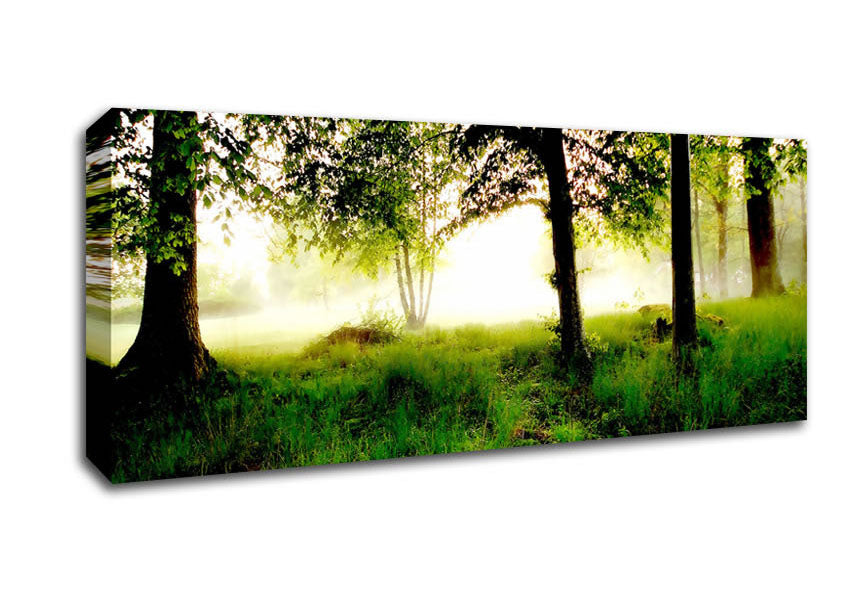 Picture of Morning Fog Panoramic Canvas Wall Art