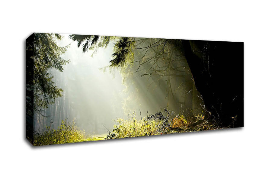 Picture of Sun Beam Through The Pass Panoramic Canvas Wall Art