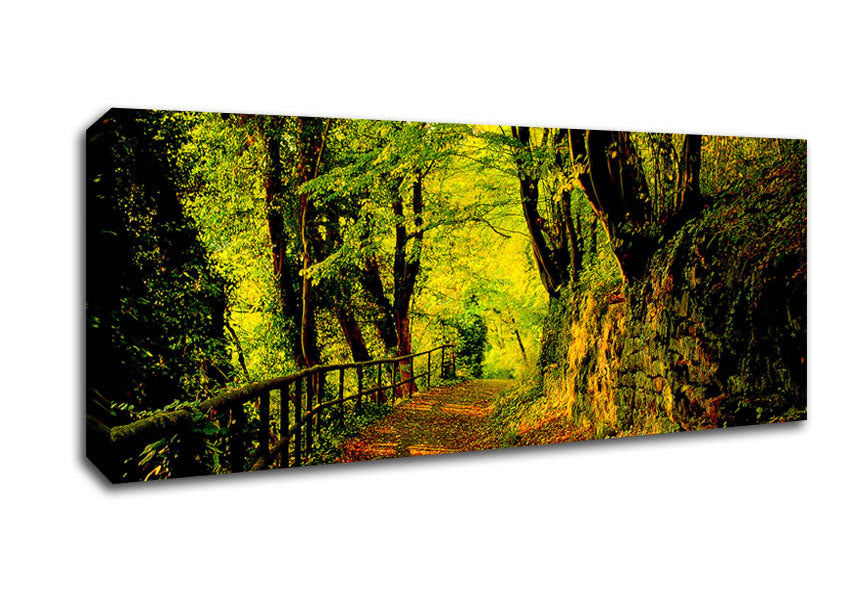 Picture of Forest Walking Path Panoramic Canvas Wall Art