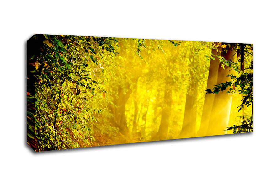 Picture of Enchanted Forest Panoramic Canvas Wall Art