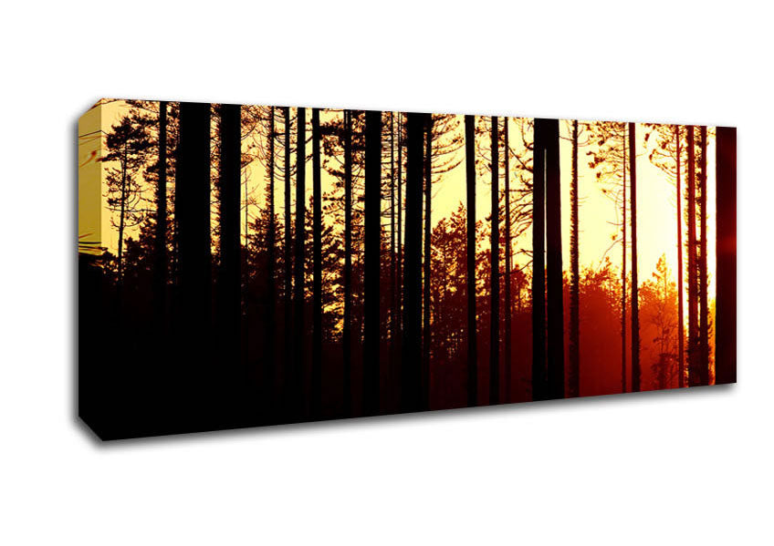 Picture of Forest Sunset Panoramic Canvas Wall Art