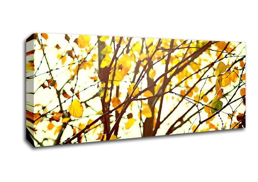Picture of Light In The Forest Panoramic Canvas Wall Art