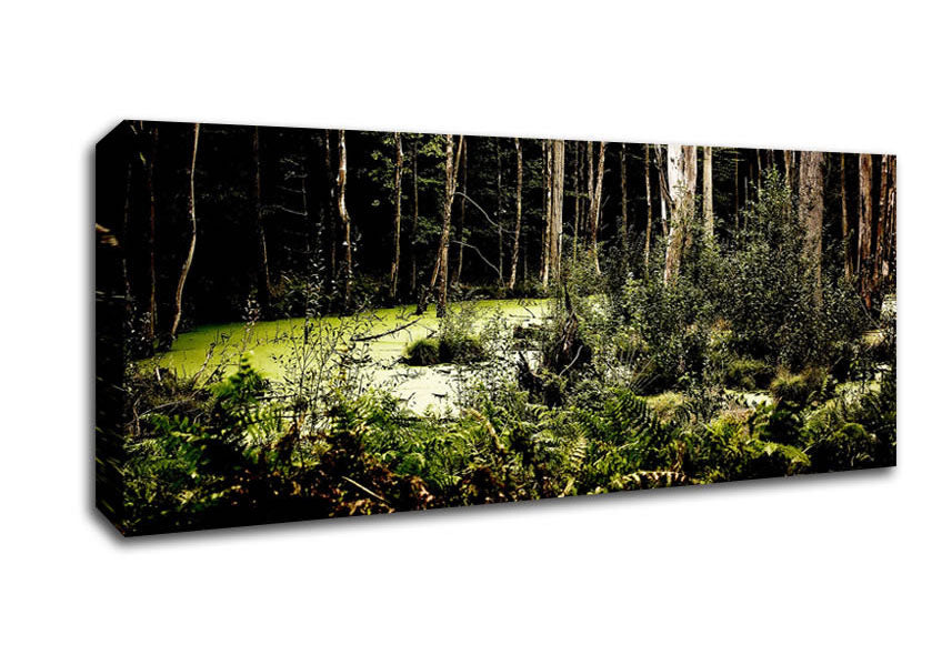 Picture of Swamp In The Depth Of The Forest Panoramic Canvas Wall Art