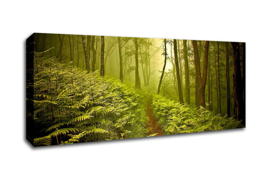 Picture of Green Forest Path Panoramic Canvas Wall Art