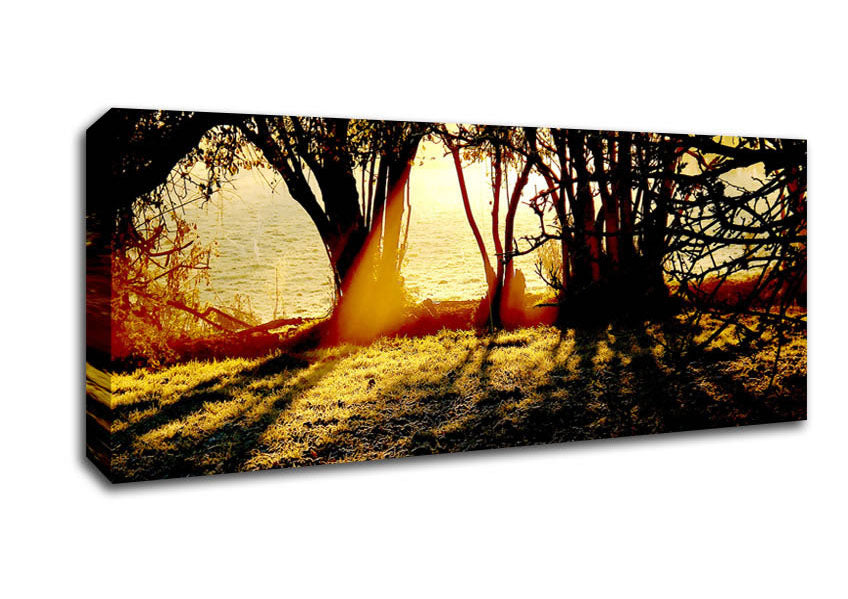 Picture of Golden Sunlight Panoramic Canvas Wall Art