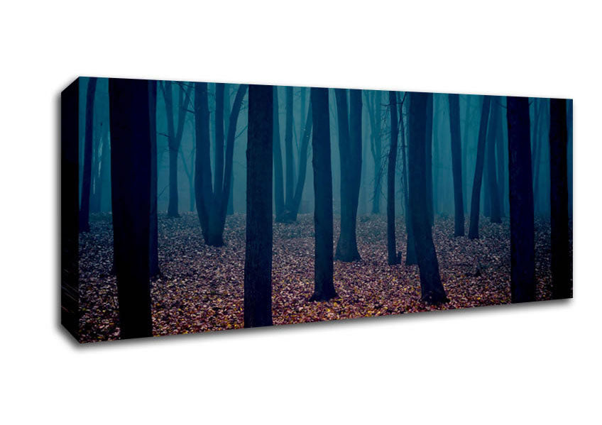 Picture of Dark Forest Mist Panoramic Canvas Wall Art