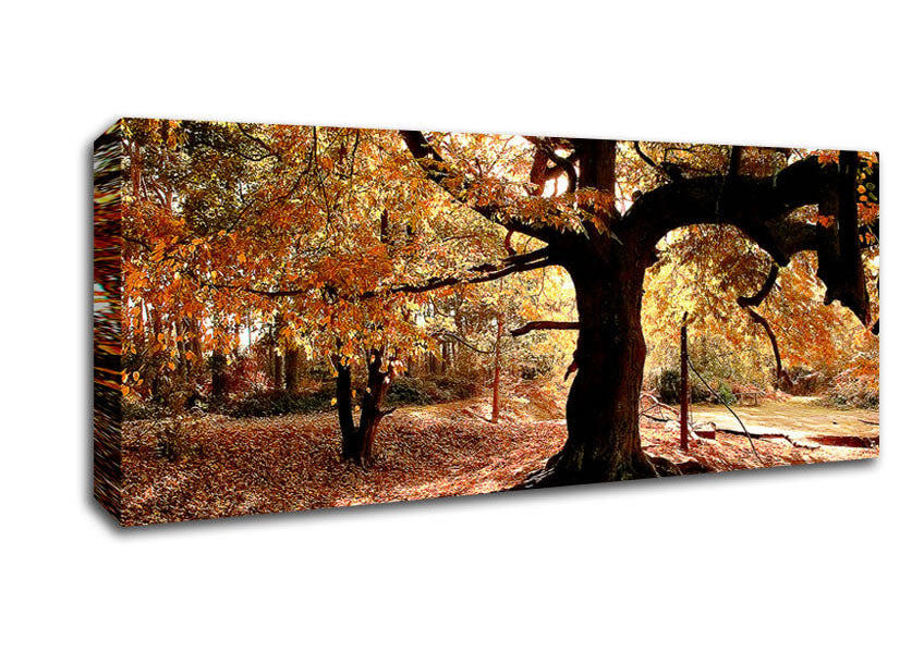 Picture of In The Depths Of The Old Forest Panoramic Canvas Wall Art