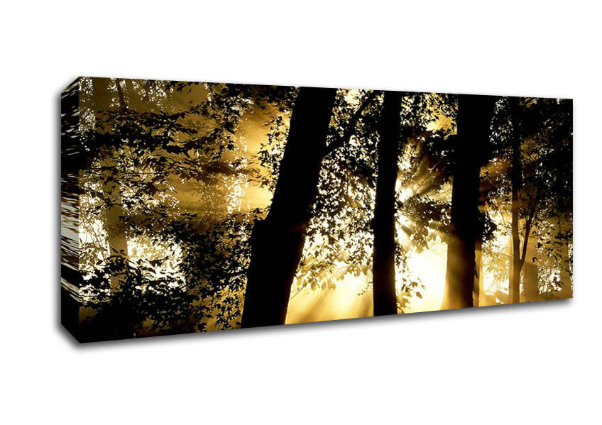 Picture of Golden Sun Beam Forest Panoramic Canvas Wall Art