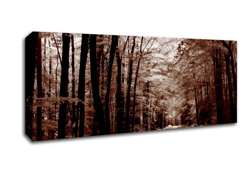 Picture of The Brown Forest Road Panoramic Canvas Wall Art