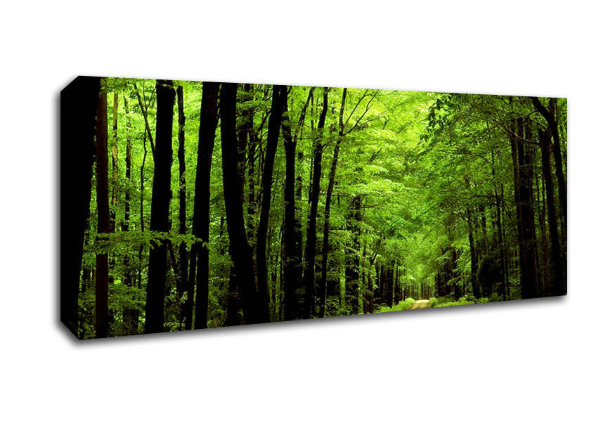 Picture of Green Tree Road Panoramic Canvas Wall Art
