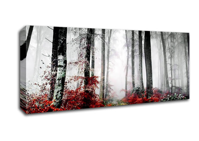 Picture of Forest Mist Morning Panoramic Canvas Wall Art