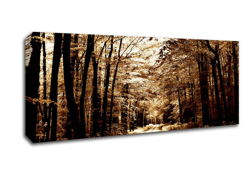 Picture of Hidden Chocolate Forest Road Panoramic Canvas Wall Art