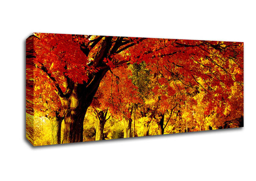 Picture of Golden Woodland Walk Panoramic Canvas Wall Art