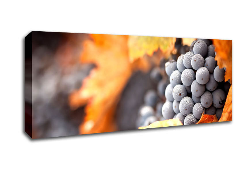 Picture of Grapes Panoramic Canvas Wall Art