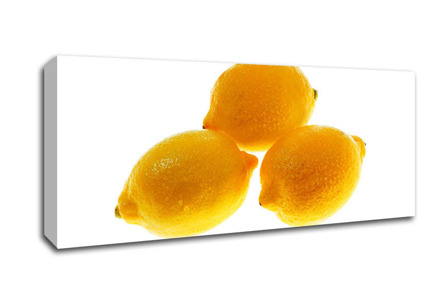 Picture of Trio Of Lemons Panoramic Canvas Wall Art