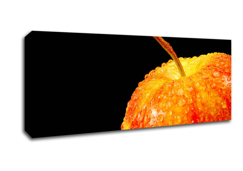 Picture of Red Delicious Apple Panoramic Canvas Wall Art