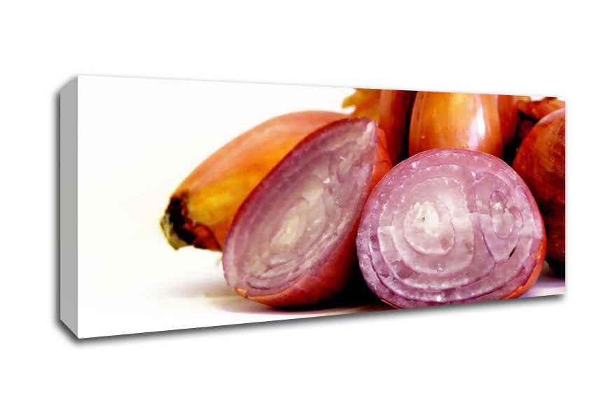 Picture of Onion Affair Panoramic Canvas Wall Art