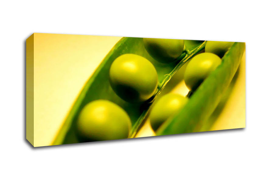 Picture of Pea Pod Panoramic Canvas Wall Art