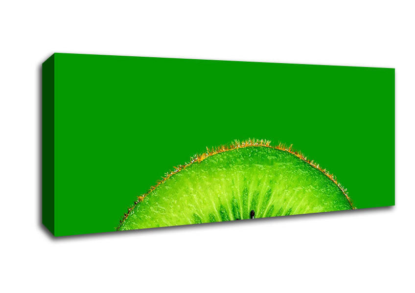 Picture of Kiwi Centre Panoramic Canvas Wall Art
