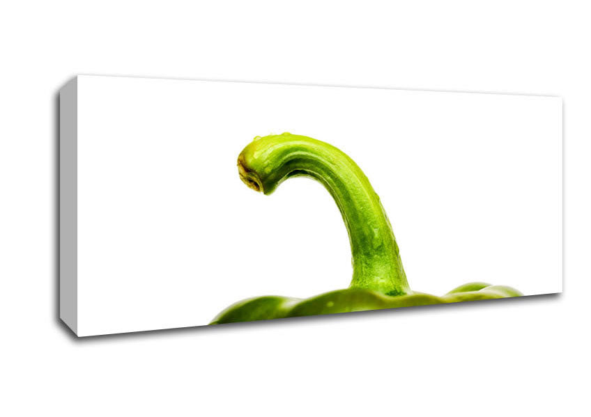 Picture of Green Pepper Head Panoramic Canvas Wall Art