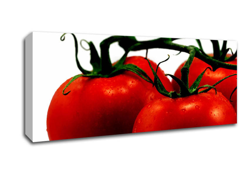 Picture of Tomato Trio Panoramic Canvas Wall Art