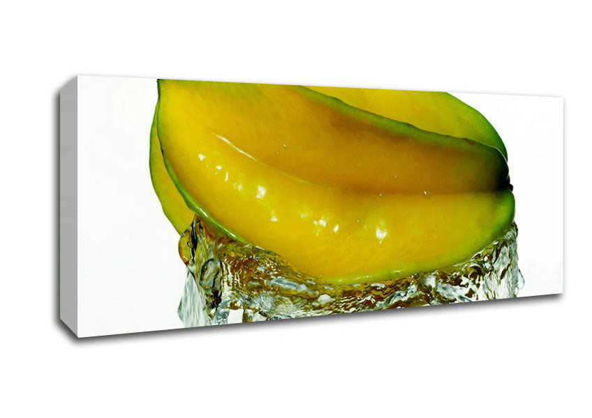 Picture of Exotic Splash Panoramic Canvas Wall Art