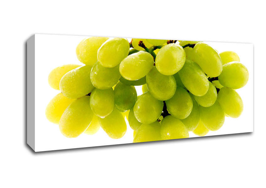 Picture of Green Grapes Panoramic Canvas Wall Art