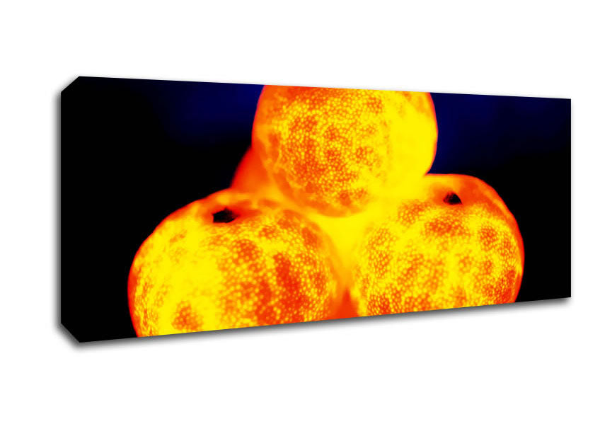 Picture of Orange Glow Panoramic Canvas Wall Art