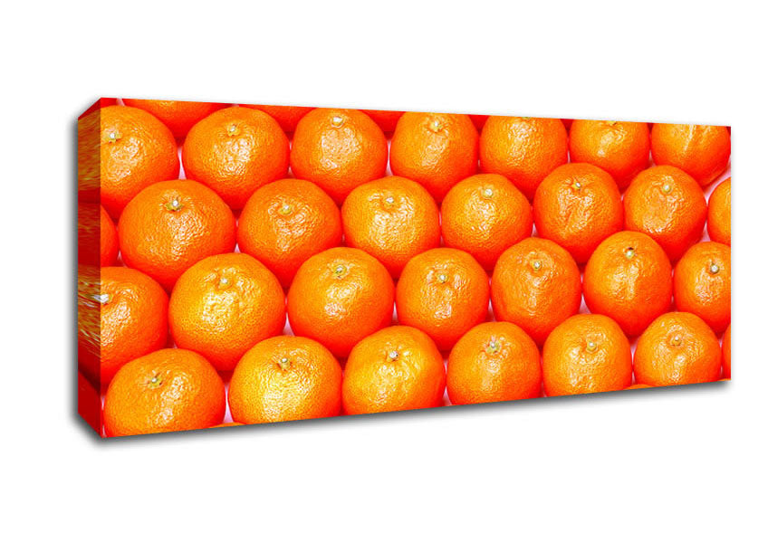 Picture of Orange Galour Panoramic Canvas Wall Art