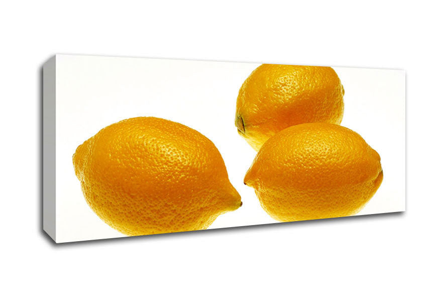 Picture of Lemon Trio Panoramic Canvas Wall Art