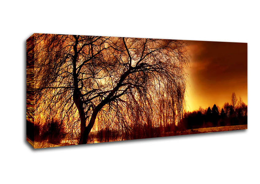 Picture of The Golden River Tree Panoramic Canvas Wall Art