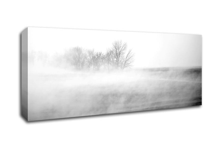 Picture of Absorption B n W Panoramic Canvas Wall Art
