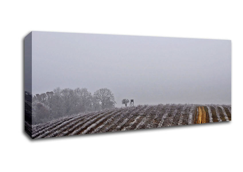 Picture of Land Panoramic Canvas Wall Art