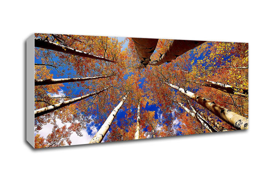 Picture of Above The Trees Panoramic Canvas Wall Art