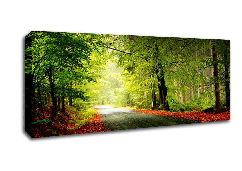Picture of The Woodland Road Panoramic Canvas Wall Art