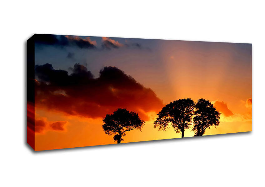 Picture of Morning Sunrise Peaking Through The Trees Panoramic Canvas Wall Art
