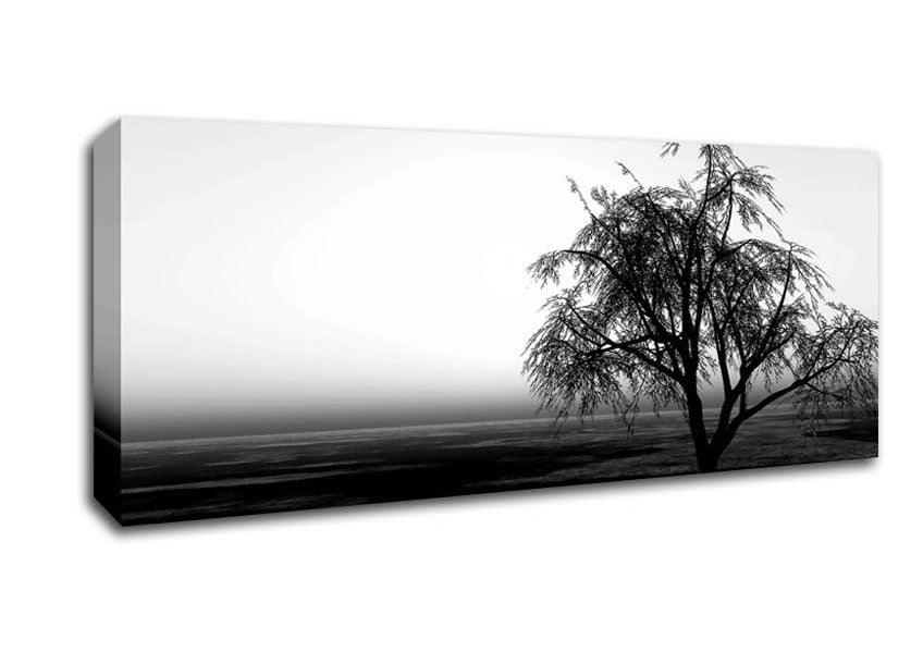 Picture of The Way The Wind Blows B n W Panoramic Canvas Wall Art