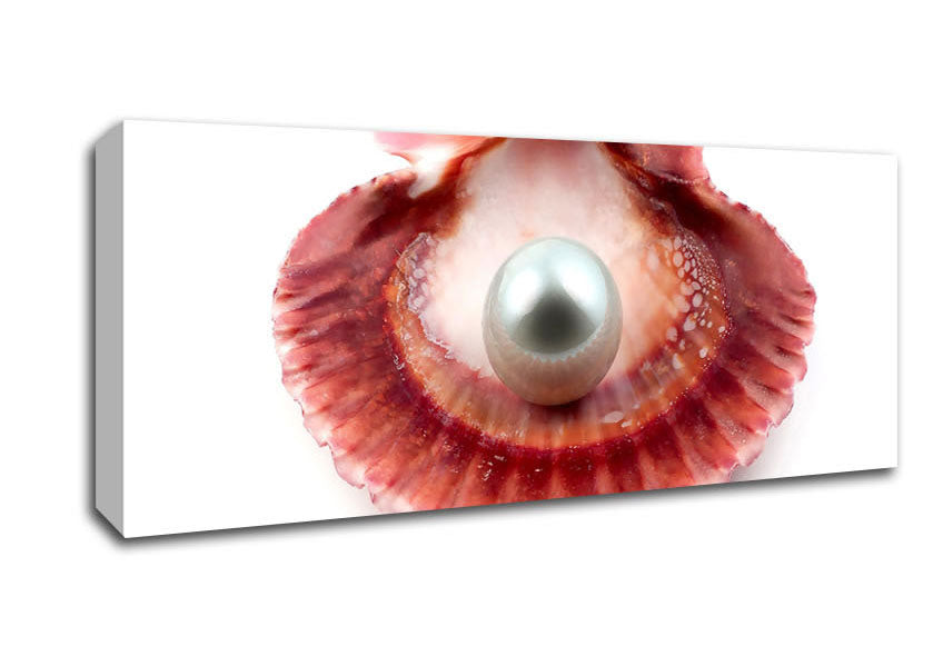 Picture of Pearl Panoramic Canvas Wall Art