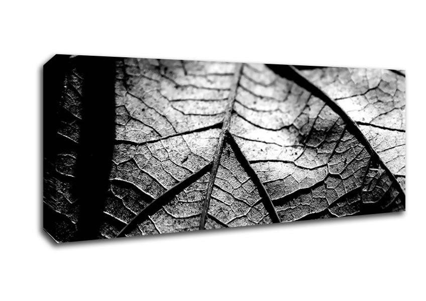 Picture of Dry Leaf Black And White Panoramic Canvas Wall Art