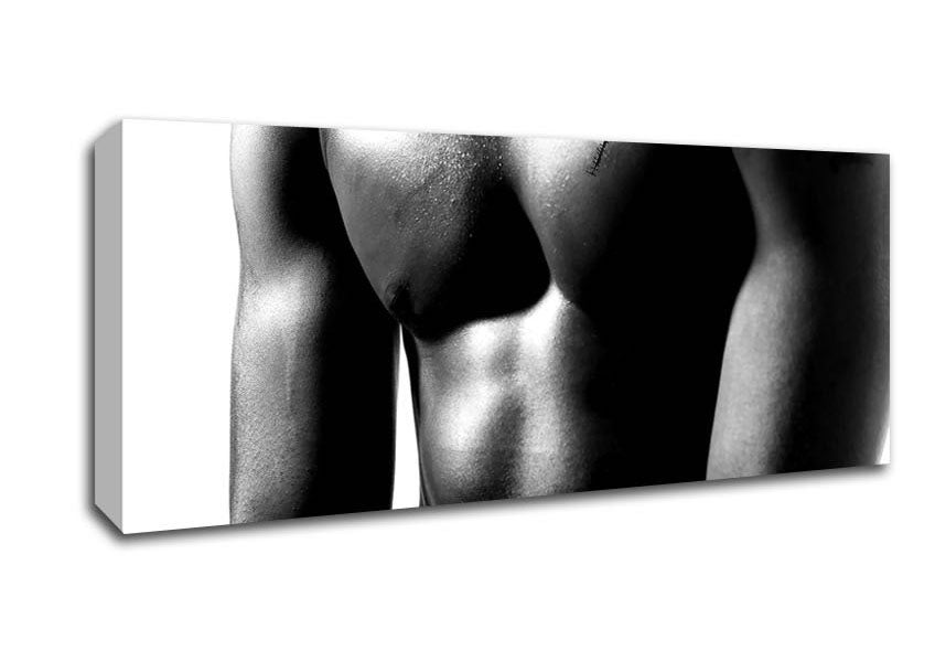 Picture of Male Body Panoramic Canvas Wall Art