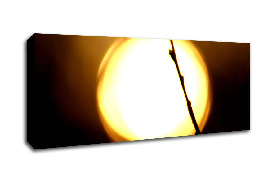 Picture of Light Panoramic Canvas Wall Art