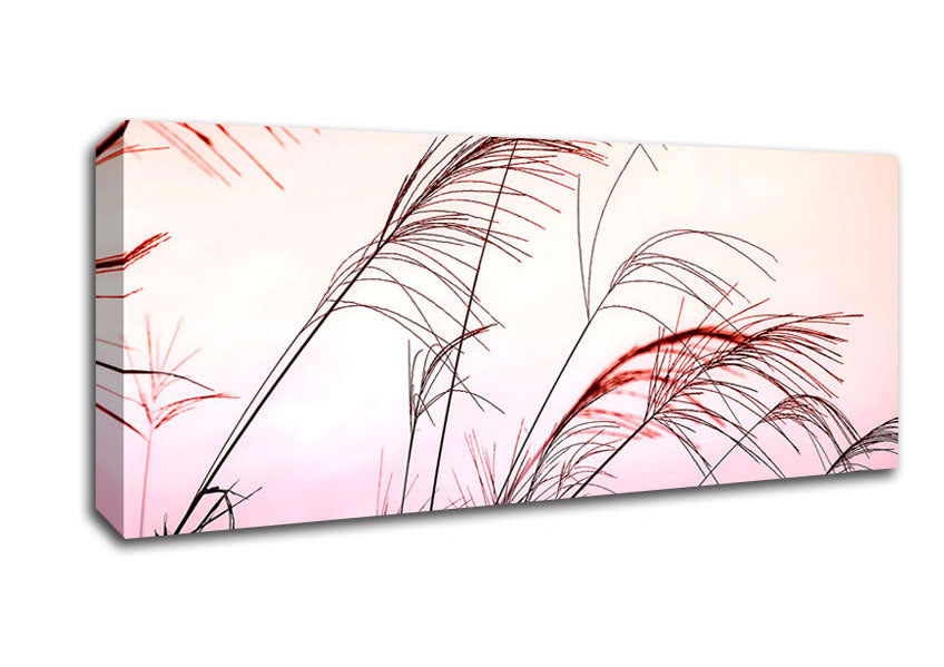 Picture of Grass Sunset Panoramic Canvas Wall Art