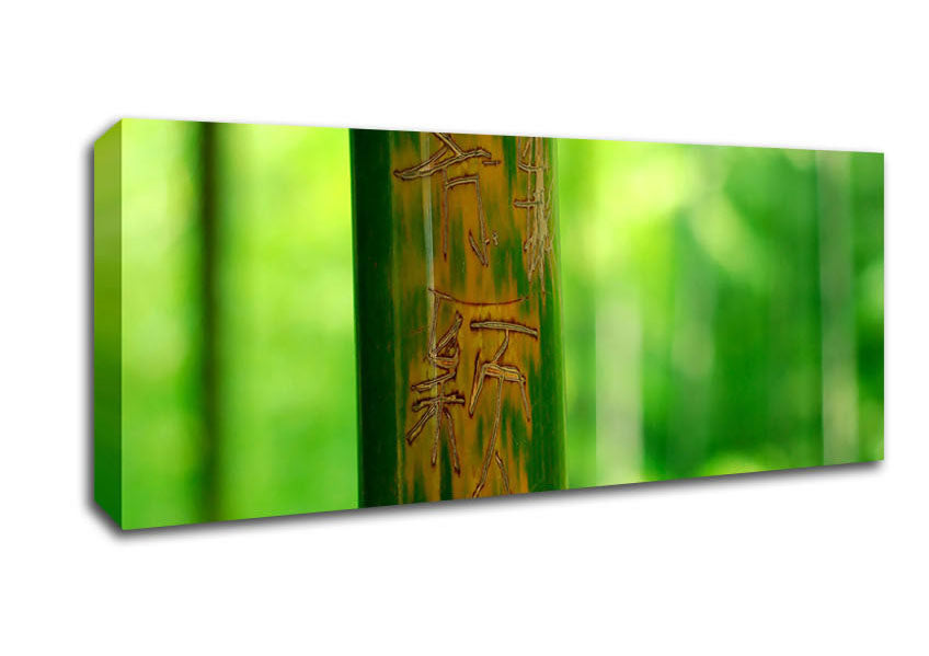 Picture of Engraved Bamboo Panoramic Canvas Wall Art