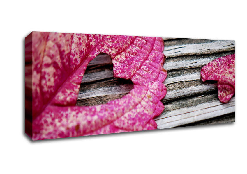 Picture of Heart Leaf Panoramic Canvas Wall Art