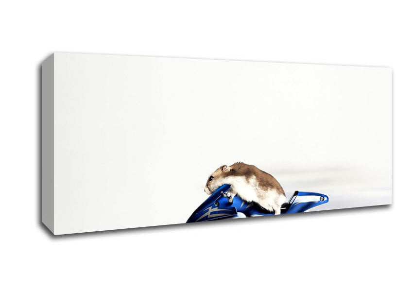 Picture of Mouse Riding Motorcycle Panoramic Canvas Wall Art
